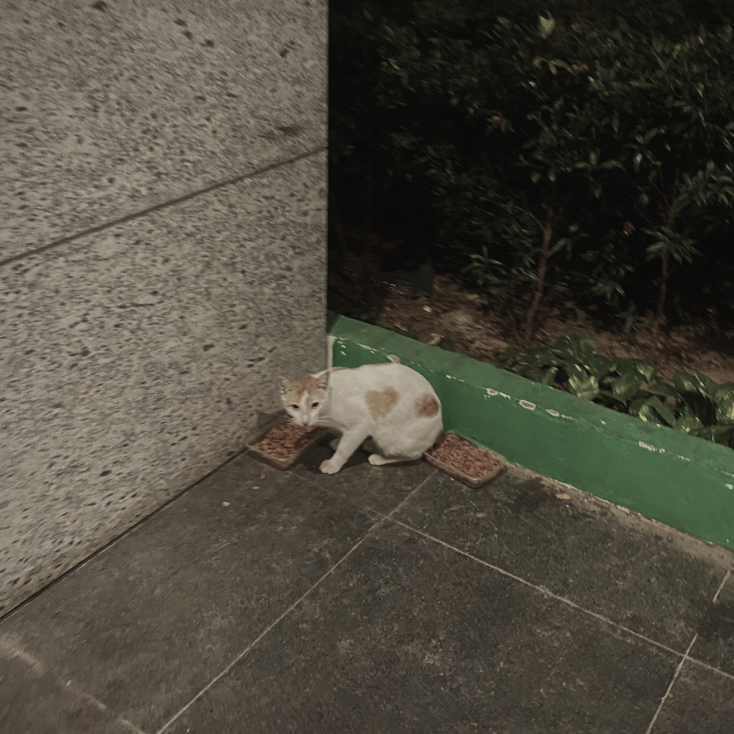 card-3